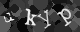 Please type the characters of this captcha image in the input box
