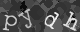 Please type the characters of this captcha image in the input box