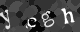 Please type the characters of this captcha image in the input box