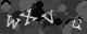 Please type the characters of this captcha image in the input box