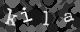Please type the characters of this captcha image in the input box