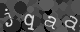 Please type the characters of this captcha image in the input box