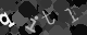 Please type the characters of this captcha image in the input box