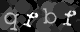 Please type the characters of this captcha image in the input box
